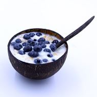 Oh Lou Lou! Coco Bowl Blueberry 2