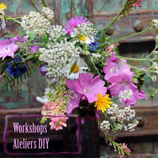 anti-viral plants and essential oils for colds and flu 