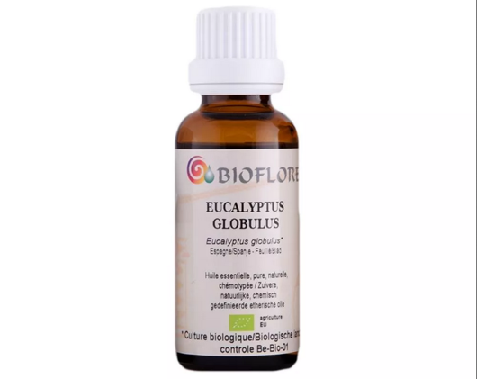 Image de HUILE ESSENTIELLE D'EUCALYPTUS GLOBULUS BIO, 10 ml