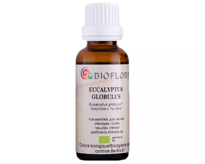 Image sur HUILE ESSENTIELLE D'EUCALYPTUS GLOBULUS BIO, 10 ml