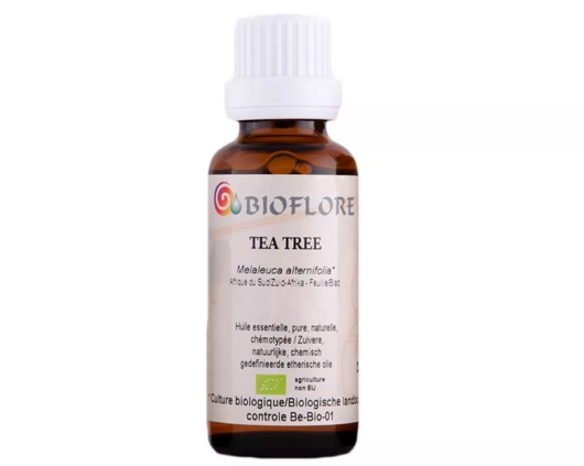 Image de HUILE ESSENTIELLE DE TEA TREE BIO, 30 ml