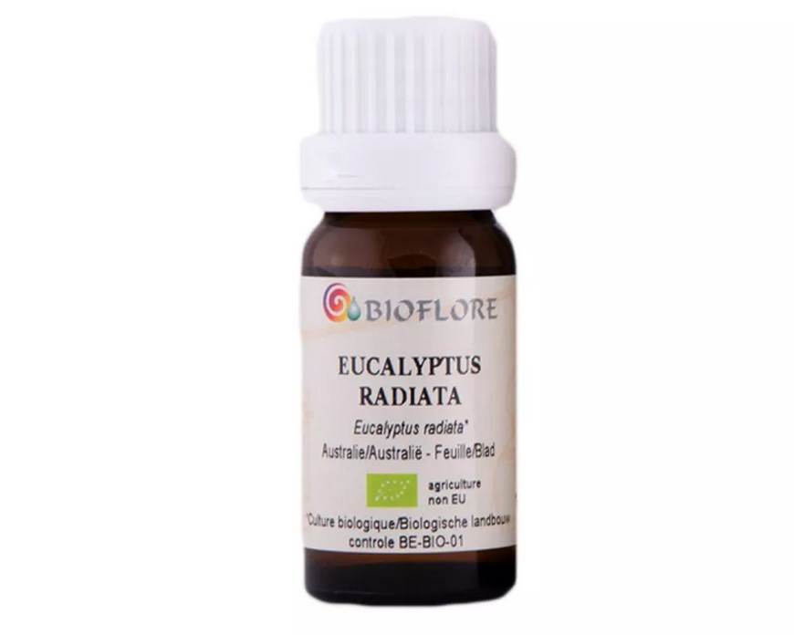 Picture of ORGANIC EUCALYPTUS RADIATA, 10 ml