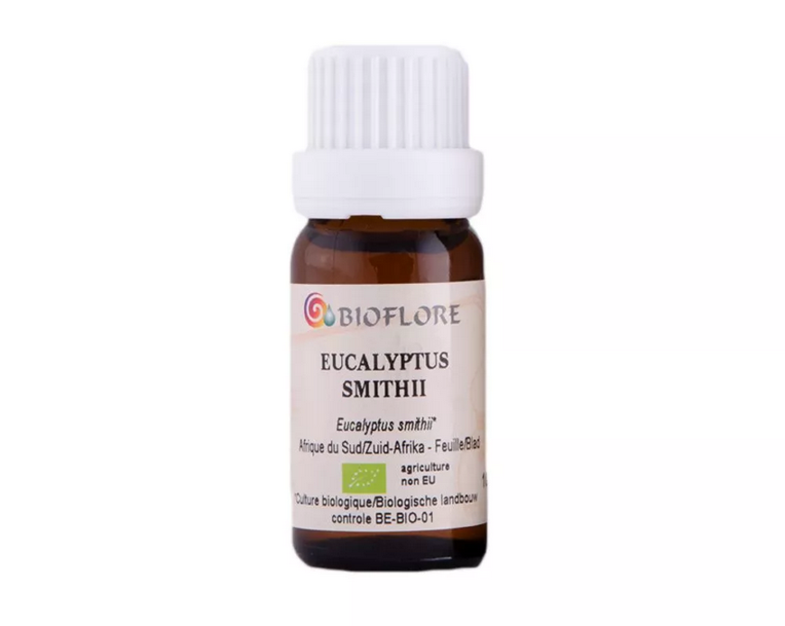 Image sur HUILE ESSENTIELLE DE EUCALYPTUS DE SMITH, 10 ml