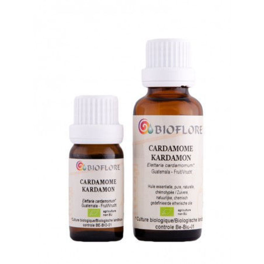 Picture of ORGANIC CARDAMOME (Elettaria cardamomum), 5 ml